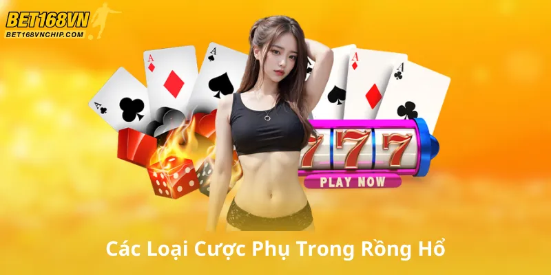 Các Loại Cược Phụ Trong Rồng Hổ