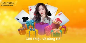 Giới Thiệu Về Rồng Hổ